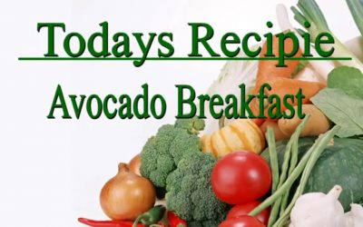 Avocado Breakfast